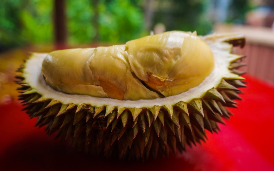 DURIAN, How to Clear out a Room….just add DURIAN !