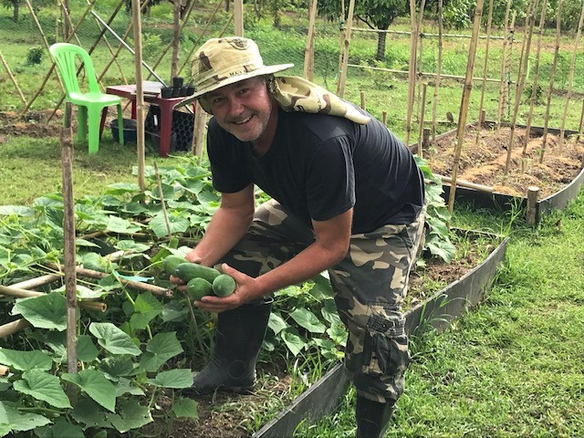 Harvesting easy-to-grow cucumbers.