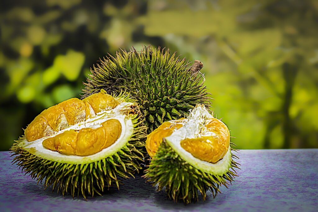The pungent segments of the durian fruit.