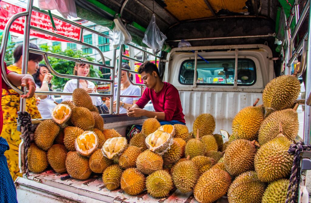 A vendor selling durian fruit out the back of his truck.