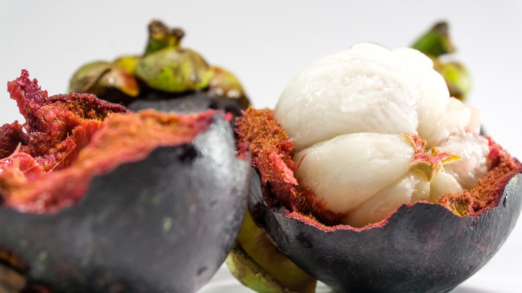 The skin and flesh of the mangosteen. Tropical fruit trees of the world.